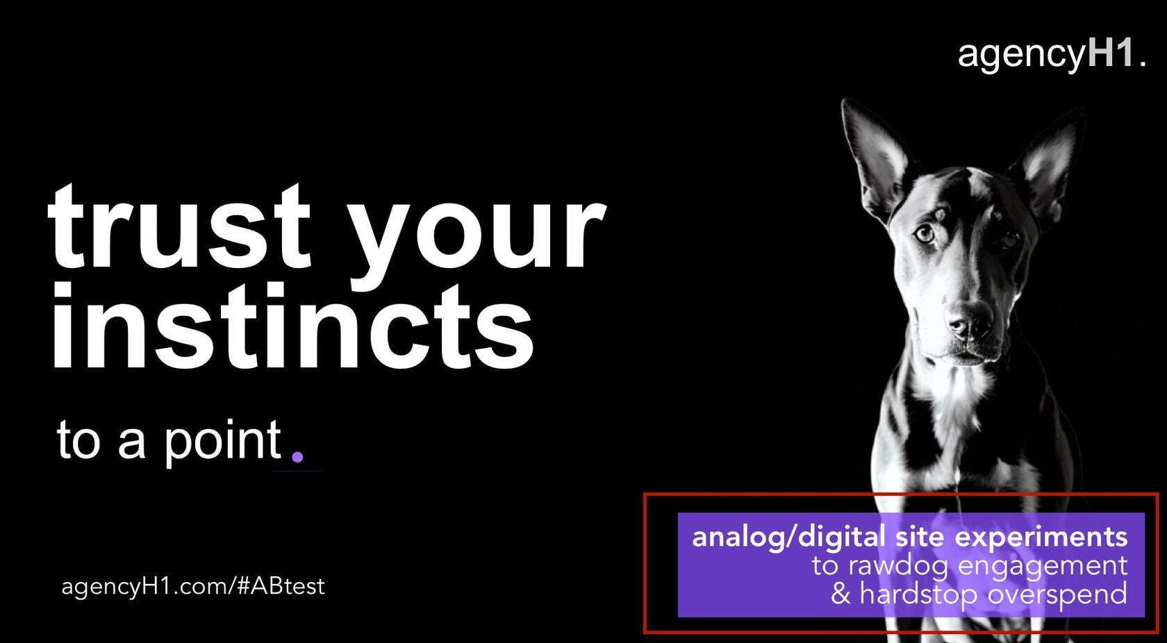 UVP dog rawdog hardstop